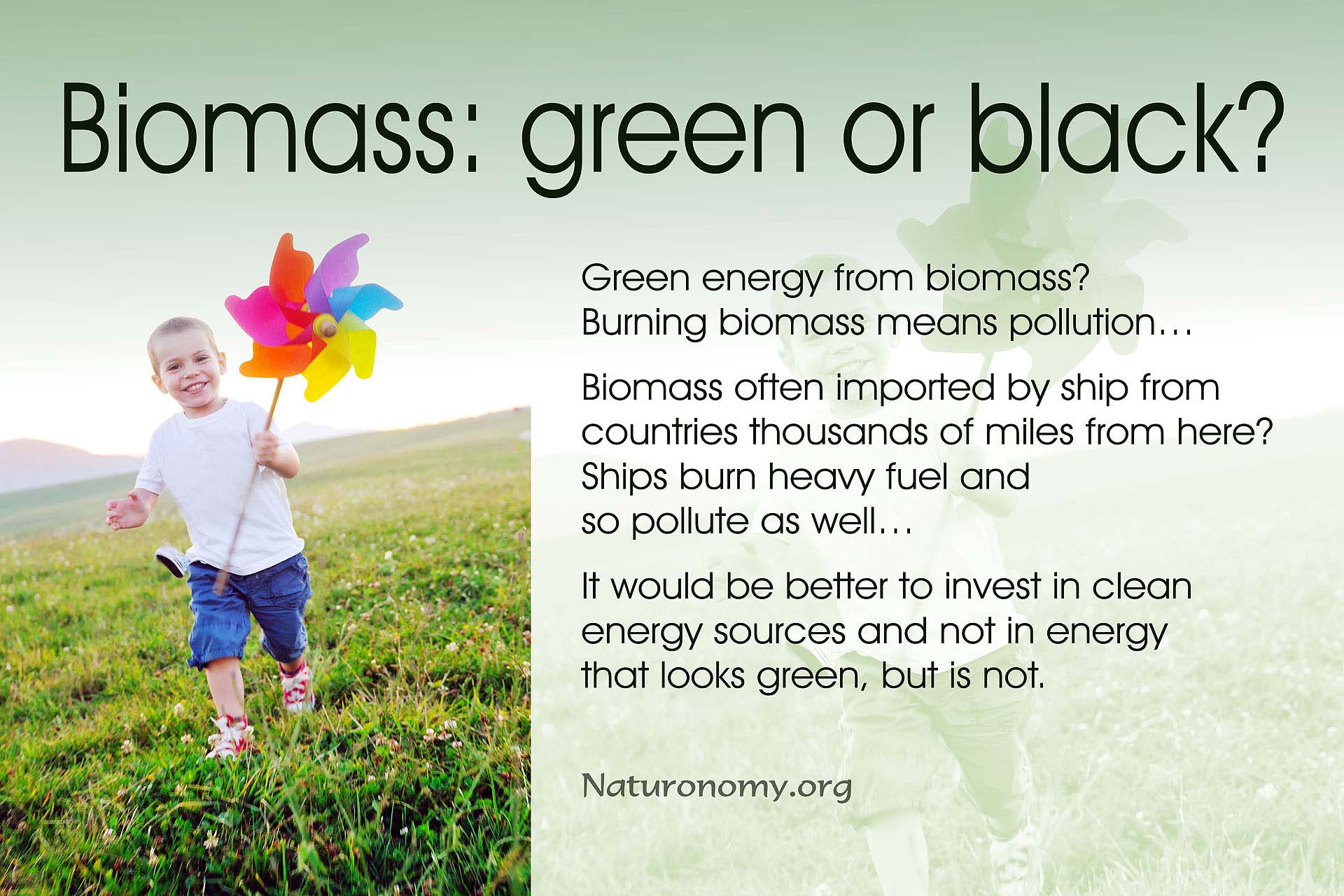 Biomass: green or black?