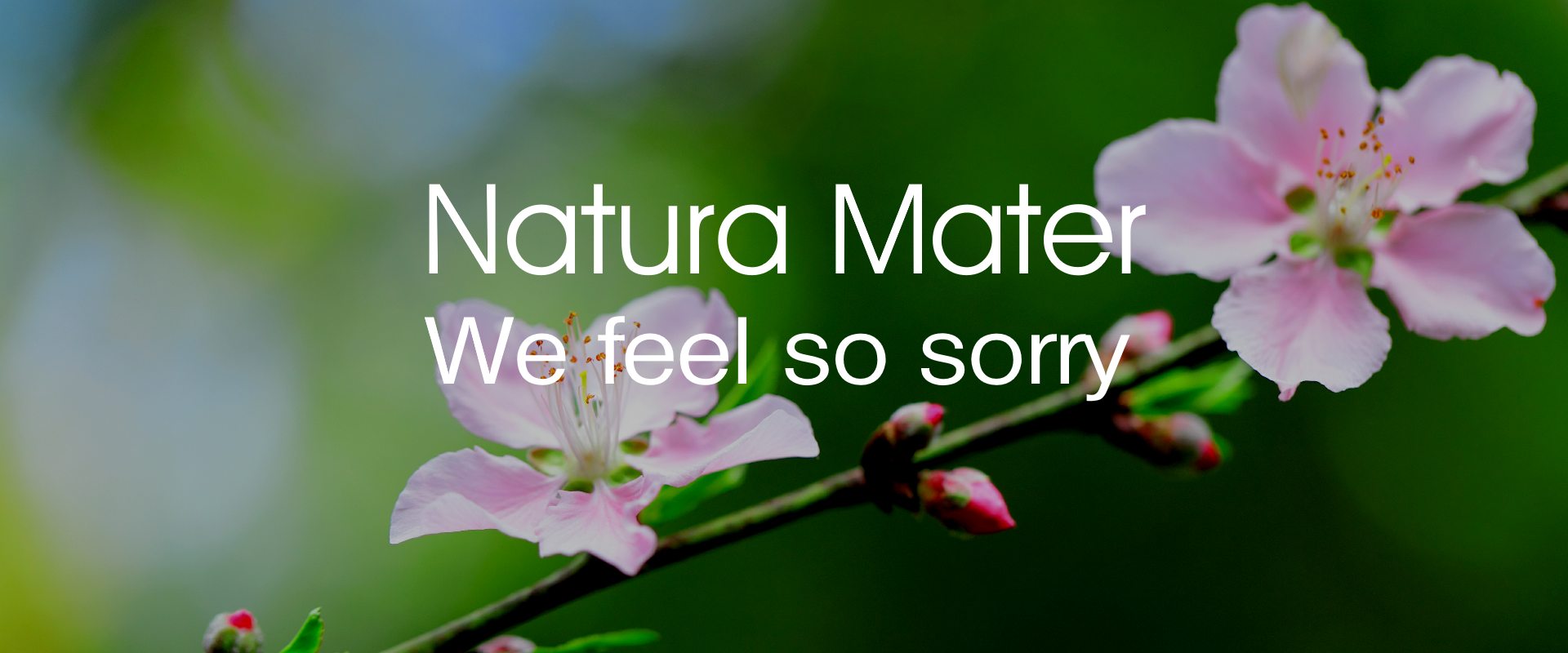 Nature, we feel so sorry
